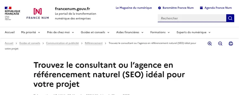 Page France Num expliquant comment choisir entre un consultant et une agence de référencement naturel