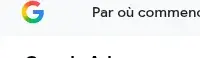 Logo Google Ads sur la page d’accueil française