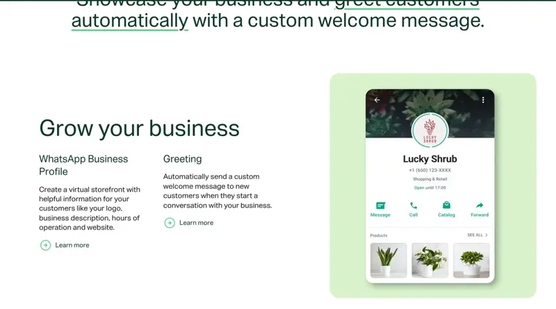 Page officielle des fonctionnalités de WhatsApp Business présentant le message d’accueil automatique